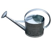 Zinc Watering Can 10 L Silver Galvanized Steel Vintage Garden Watering Can Zinc