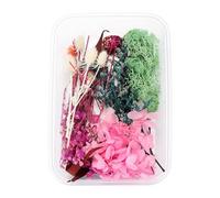 Zinnia Artificial Flowers Fillings Expoxy Flower For Epoxy Resin Jewelry Making Craft DIY Supplies Accessories (Forget Me Not) (J, One Size)