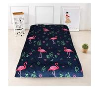 Zip Mattress Cover Dust Proof Mattress Protector Fits for Futon Mattress, Tatami Mattress, Soft Mattress, Up to 10cm(3.9inch) Deep,F,100x200cm(39x79")