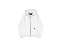 Zip-up hoodie Alpha Industries Labe Back Print Gris M