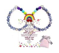 Ziper 2pcs Dog Cat Memorial Gifts for Who Loss of Pets,Rainbow Bridge Bracelet for Pet,8mm 7 Chakra Bead Healing Bracelet