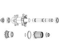 Zipp Spring And Pawl Set