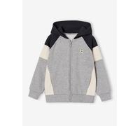 Zipped hooded sweatshirt for boys with colour block design marl grey
