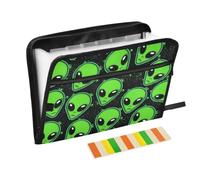 Zipper Expanding File Organiser with 13 Pockets,Alien Accordion Document Folder with Labels, Water-Resistant, 36 X 2 X 27 CM