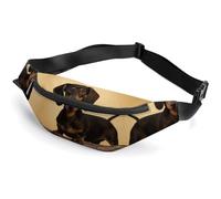 Zipper Fanny Pack for Men Women Fashion Waist Bag Stylish Crossbody Bags with Adjustable Strap A Cute Dachshund Travel Chest Bags Belt Bags for Running Hiking Workout Cycling, A Cute Dachshund, 14.2 ×