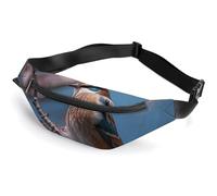 Zipper Fanny Pack for Men Women Fashion Waist Bag Stylish Crossbody Bags with Adjustable Strap A Little Bird Travel Chest Bags Belt Bags for Running Hiking Workout Cycling, A Little Bird, 14.2 × 5.9