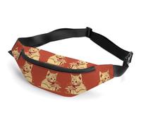Zipper Fanny Pack for Men Women Fashion Waist Bag Stylish Crossbody Bags with Adjustable Strap Cat Lying on The Box Travel Chest Bags Belt Bags for Running Hiking Workout Cycling, Cat Lying on The Box