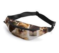 Zipper Fanny Pack for Men Women Fashion Waist Bag Stylish Crossbody Bags with Adjustable Strap Cute Pomeranian Dog Travel Chest Bags Belt Bags for Running Hiking Workout Cycling, Cute Pomeranian Dog