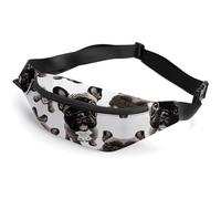 Zipper Fanny Pack for Men Women Fashion Waist Bag Stylish Crossbody Bags with Adjustable Strap French Bulldog Travel Chest Bags Belt Bags for Running Hiking Workout Cycling, French Bulldog, 14.2 × 5.9