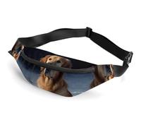 Zipper Fanny Pack for Men Women Fashion Waist Bag Stylish Crossbody Bags with Adjustable Strap Golden Retriever Travel Chest Bags Belt Bags for Running Hiking Workout Cycling, Golden Retriever, 14.2 ×