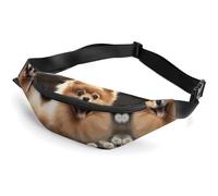 Zipper Fanny Pack for Men Women Fashion Waist Bag Stylish Crossbody Bags with Adjustable Strap Pomeranian Dog Travel Chest Bags Belt Bags for Running Hiking Workout Cycling, Pomeranian Dog, 14.2 × 5.9
