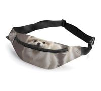 Zipper Fanny Pack for Men Women Fashion Waist Bag Stylish Crossbody Bags with Adjustable Strap Pomeranian Dog Travel Chest Bags Belt Bags for Running Hiking Workout Cycling, Pomeranian Dog, 14.2 × 5.9