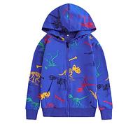 Zipper Hoodies for Boys UK Long Sleeve Sweatshirt Jumper Hoodie with Front Pocket Dinosaur Patterned Print Casual Sweatshirts Jacket Hoodies for Children Boys Spring Fall Winter Age 3-12 Years Blue