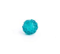ZippyPaws - ZippyTuff Squeaker Ball Dog Chew Toy - Teal, Large