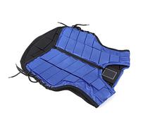 Zisemeil Kids Riding Vest Foam Padded Safety Riding Protective Equipment Body Protector Blue (CL)