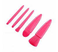 Zisemeil Travel Makeup Brush Set, 5Pcs with Mirror Soft Synthetic Hair Eyeshadow Blush Powder Brush Kit for On-the-Go Makeup (Rose Red)