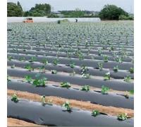 ZiStarlilife Gardening Mulch Garden Plastic Film Control Membrane with Holes Barrier Planting Mulch Film for Potato-Tomato Eggplant Strawberry Fruit Planting(10m*0.95m)