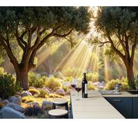 ZISTRCBAO Ancient Olive Trees Shrubbery Large Decorative Wall Mural 350x256cm, Healing Natural Scenery Photo Wallpaper, Room Decor Wall Art for Living Room Bedroom Home Office Greenery Walls Murals