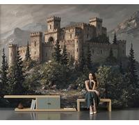 ZISTRCBAO Photo Wallpaper 300x210cm, Panoramic Medieval Castle Silk Wallpaper, Stone Relief Giant Wall Mural Decoration Poster for Living Room Bedroom Wall Covering