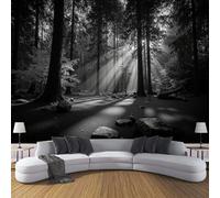 ZISTRCBAO Photo Wallpaper Mural Black White Dawn Forest, Tranquil Natural Scenery Wall Murals, Black Poster Wall Decoration for Bedroom Living Room Office 150x105cm