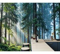 ZISTRCBAO Sunshine Ancient Coniferous Trees Wall Murals, Primeval Rainforest Scenery Wallpaper Mural for Living Room Bedroom TV Background Office Wall Decoration Poster - 350x256cm, Greenery