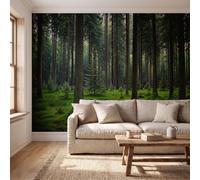 ZISTRCBAO Tranquil Natural Scenery Wall Mural Wallpaper