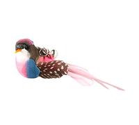 Ziurmut Cat Bird Toy, Handmade Cat Toy Bird, Colorful Feather Birds Clips, Cat Toy Bird Replacement, Artificial Birds Replacement For Training Exercising Pet Cats