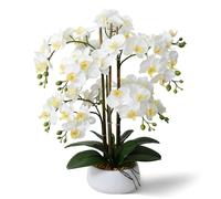 Ziwon Artificial Orchid Flowers & Plants Potted in Ceramic Pot, White Faux Phalaenopsis Orchids for Table Centerpiece, Realistic Fake Flower Arrangement for Home Office Decor Indoor