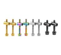 Zixinz-Socket Cap Screws 2PCS Titanium Bolts M5x30/40mm Bicycle Seatpost Screws For Bicycle Seatpost Saddle Fixed， Corrosion-resistance(Rainbow,40mm)