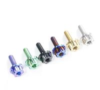 Zixinz-Socket Cap Screws Gr5 CNC Titanium Bolts Crankcase Airbox Visor Handle Bar End Side Mirror Brake Disc Bolt For V1/V2 155, Corrosion-resistance(Engine Oil Bolt 1 PC,Burntblue)