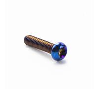Zixinz-Socket Cap Screws Titanium Bolts M6x10/15/20/25/30/35mm Half Round Allen Key Head Screws For Motorcycle Car Aeromodelling Refit, 10Pcs, Corrosion-resistance(Burnt blue,M6X30mm)
