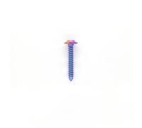 Zixinz-Socket Cap Screws Titanium Screw M4 M5 M6 X 10 12 14 16 20 25 30 35 40mm Self-Tapping Button Torx Screw For Motorcycle Bike Shell Screws 1pc, Corrosion-resistance(Candy color,M4x0.7x14mm)
