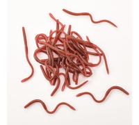 ZIYIZE 35 Pcs Fake Earthworms, Soft Stretchy Realistic Rubber Worms for Halloween Pranks, April Fools Tricks, Party Decorations (7 Inch)