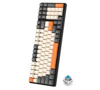 ZIYOU LANG K3 Wired 100% Mechanical Gaming Keyboard, LED Rainbow Backlit, with Numeric Keypad, Clicky Blue Switches, Full Anti-Ghosting Keys, Full-Key Rollover, Metal Panel, for Mac/Win - Dark Gray