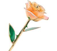 ZJchao 24K Gold Rose, Real Rose Gold Plated, 24K Rose Silver Flowers Valentine's Day Love Forever, Plated Real Rose, for Women in Her Birthday Anniversary Valentines Day Mothers Day, Romantic Gifts