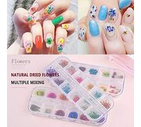 ZJchao 24PCS 12Color Dried Flowers for Nail Art Decorations Nail Embellishments Nail Design Accessories Different Styles Gypsophila Small Daisy Five Petals (As Shown #40)