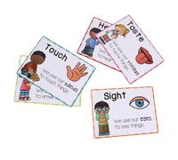 ZJchao Five Senses Poster Classroom Decor Educational Chart for Kids Teachers with Glossy Coating Durable Paper Suitable for Schools Kindergartens