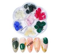 ZJchao Mini Dried Flowers for Nails, 45-50 Petals DIY Nail Art Decorations with Colorful Floral Design, for Spring Summer Manicure Gel Polish Acrylic Nails (6 grid dried flowers 04)