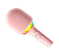 ZJchao Singing Microphone, Portable Handheld Microphone, Vocal, Handheld Speaker, Singing for Adults for Early Education (Pink)