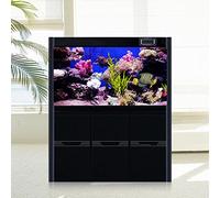 ZJchao Terrarium Background, 3D Aquarium Background Aquarium Decor 3D Effect Adhesive Coral Seaworld Poster PVC Adhesive Poster for Fish Box Decoration (61 * 41cm)