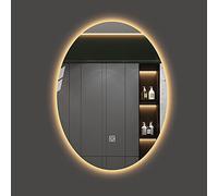 ZJFHEYUO Large Bathroom Wall Mounted Mirror, LED Makeup Mirror, 50x70cm Oval Simple Wall Mounted Vanity Mirrors With Touch, White Light/Warm Light, Frameless