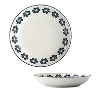 ZJFHEYUO Ramen Bowl Set Fruit Bowl Ramen Bowl Large Serving Bowls Set of 2 Plate Bowls Ceramic Low Bowls Dishes Pasta/Soup Serving Bowls La