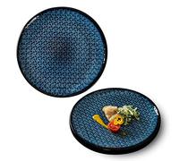 ZJFHEYUO Ramen Bowl Set Fruit Bowl Ramen Bowl Large Serving Bowls Set of 2 Plate Bowls Ceramic Low Bowls Dishes Pasta/Soup Serving Bowls La