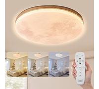 ZJHAHJY Nordic Moon Ceiling Lamp LED Round Circle Ceiling Light Artistic Ceiling Light Fixtures Modern Minimalist Close to Ceiling Light Anti-Glare Ceiling Sconces for Bedroom Dining Room Passageway