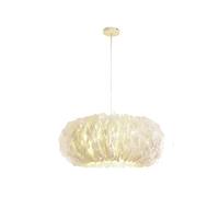 ZJHQQB Living Room Bedroom 's Room Princess Room Wedding Room,Feather Lighting,Creative 's Room Chandeliers,E27 Nordic Creative Girl Warm Romance Feather Chandeliers-White. 50cm