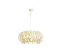 ZJHQQB Living Room Bedroom 's Room Princess Room Wedding Room,Feather Lighting,Creative 's Room Chandeliers,E27 Nordic Creative Girl Warm Romance Feather Chandeliers-White. 40cm