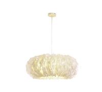 ZJHQQB Living Room Bedroom 's Room Princess Room Wedding Room,Feather Lighting,Creative 's Room Chandeliers,E27 Nordic Creative Girl Warm Romance Feather Chandeliers-White. 60cm