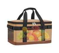 zjhukfmc Insulated Cool Bags, Cool Bag for On the Go Transport Box with Cooling Elements for Fishing Outdoor Car Travel Picnic Pool Golf