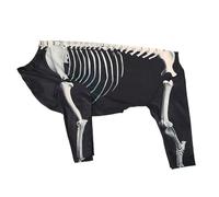 zjhukfmc Pet Halloween Costume Polyester + Spandex Skeleton Halloween Pet Costumes Skeleton Breathable Clothing Dog Skeleton Costume for Home Autumn Christmas Carnival Festivals Celebrations
