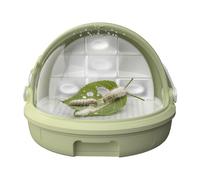 zjhukfmc Small Reptile Enclosure | Portable Feeding Cage,Silkworm Breeding Observation Cabin | for Pet Frog Small Animal Amphibian Science Project Outdoor Classroom School Kids Students